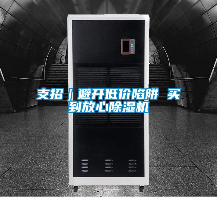 支招｜避開低價陷阱 買到放心除濕機