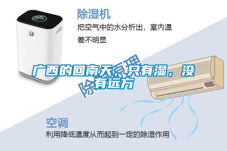 廣西的回南天,只有濕,沒有遠方