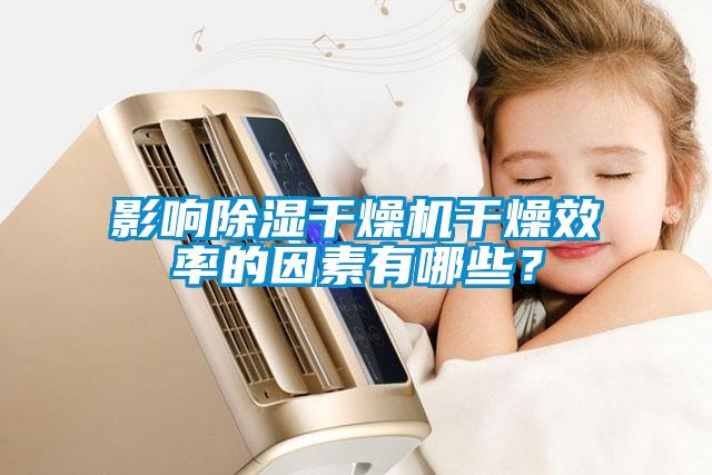 影響除濕干燥機干燥效率的因素有哪些？