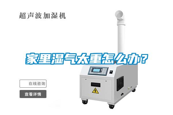 家里濕氣太重怎么辦?