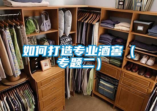 如何打造專(zhuān)業(yè)酒窖(專(zhuān)題二)