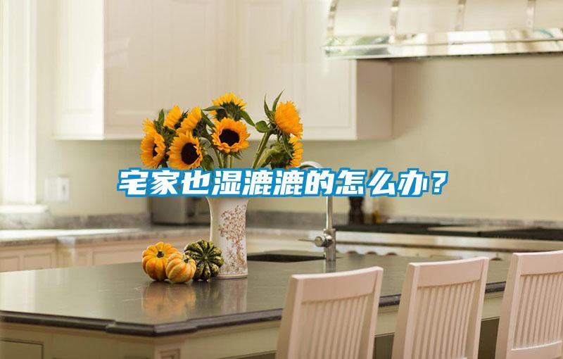 宅家也濕漉漉的怎么辦？