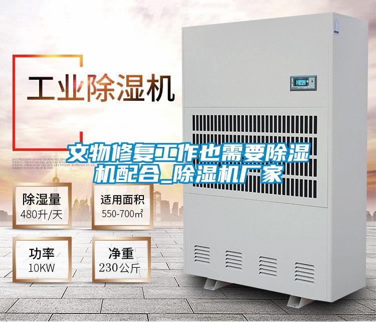 文物修復(fù)工作也需要除濕機配合_除濕機廠家