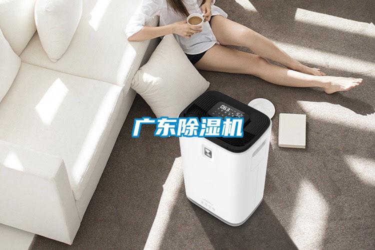 廣東除濕機