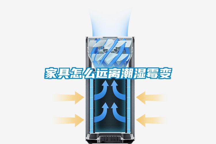 家具怎么遠(yuǎn)離潮濕霉變