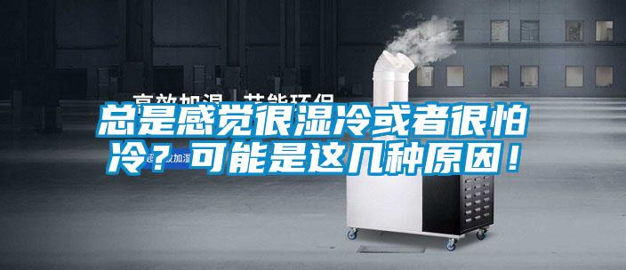 總是感覺很濕冷或者很怕冷？可能是這幾種原因！