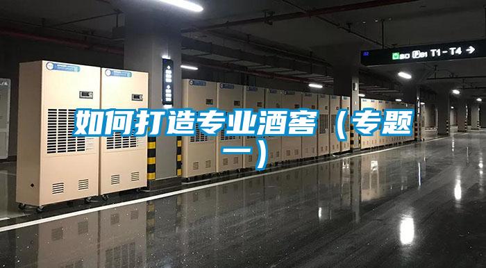 如何打造專業(yè)酒窖(專題一)