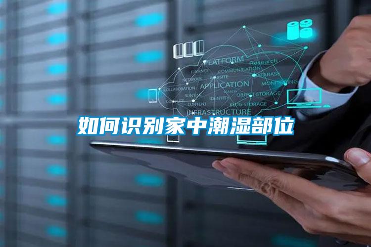 如何識別家中潮濕部位