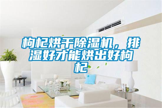 枸杞烘干除濕機,排濕好才能烘出好枸杞