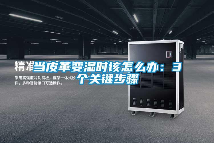 當(dāng)皮革變濕時(shí)該怎么辦：3個(gè)關(guān)鍵步驟