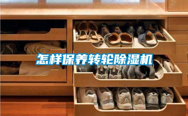 怎樣保養(yǎng)轉(zhuǎn)輪除濕機