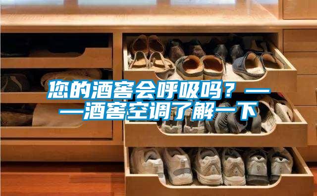 您的酒窖會呼吸嗎？——酒窖空調了解一下
