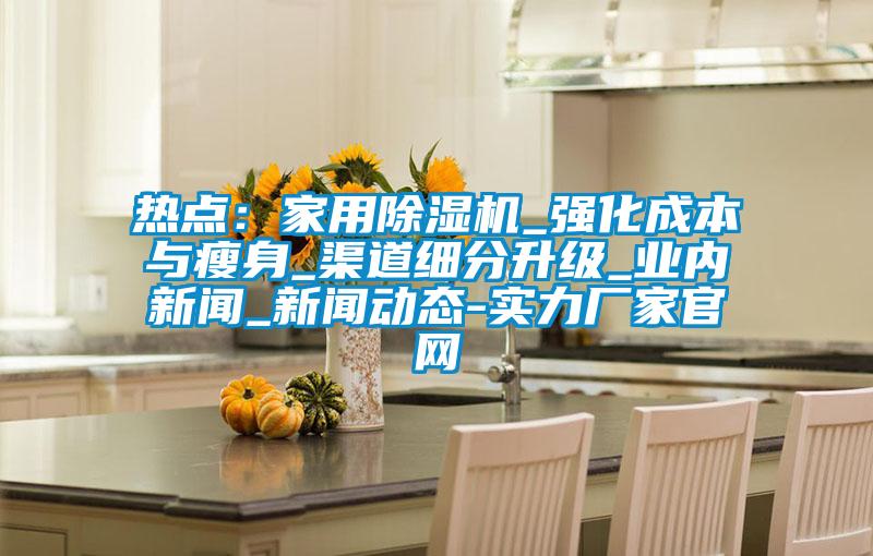 熱點：家用除濕機_強化成本與瘦身_渠道細分升級_業內新聞_新聞動態-實力廠家官網