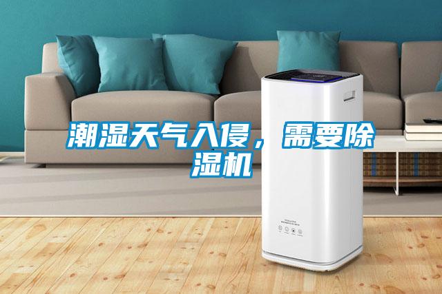 潮濕天氣入侵，需要除濕機