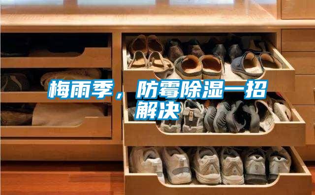 梅雨季，防霉除濕一招解決