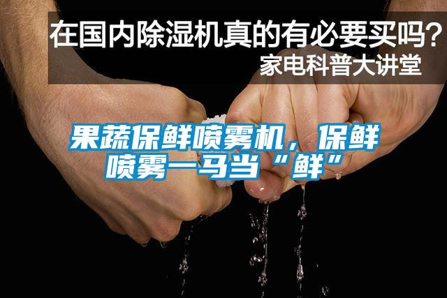 果蔬保鮮噴霧機，保鮮噴霧一馬當“鮮”