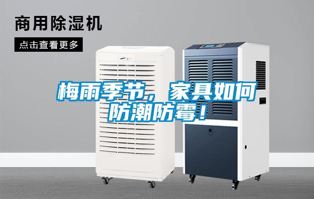 梅雨季節，家具如何防潮防霉！