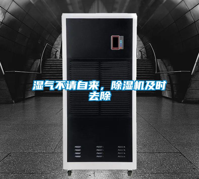 濕氣不請自來，除濕機及時去除