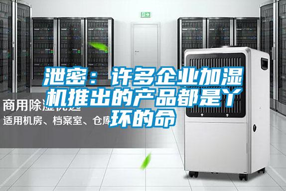 泄密：許多企業(yè)加濕機推出的產(chǎn)品都是丫環(huán)的命