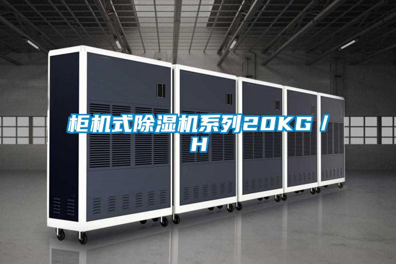 柜機(jī)式除濕機(jī)系列20KG／H