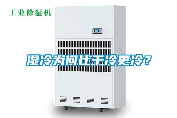 濕冷為何比干冷更冷？