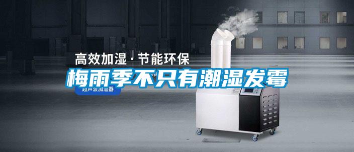 梅雨季不只有潮濕發(fā)霉