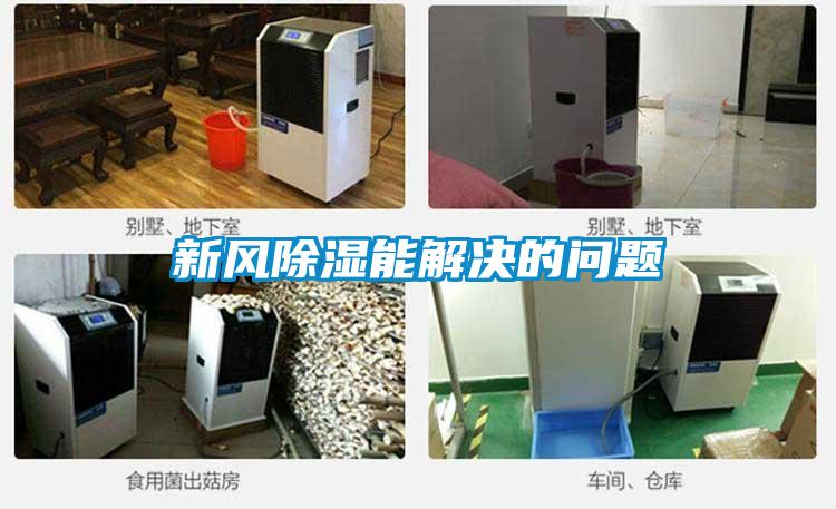 新風除濕能解決的問題