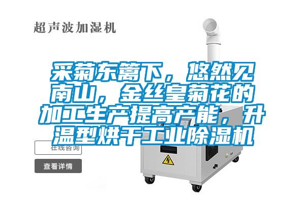 采菊東籬下，悠然見南山，金絲皇菊花的加工生產(chǎn)提高產(chǎn)能，升溫型烘干工業(yè)除濕機