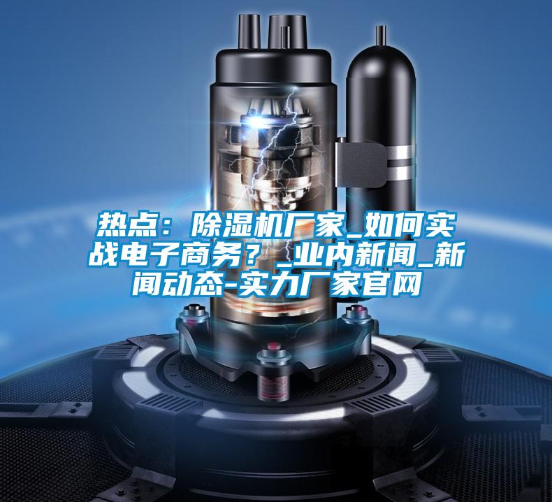 熱點：除濕機廠家_如何實戰電子商務？_業內新聞_新聞動態-實力廠家官網