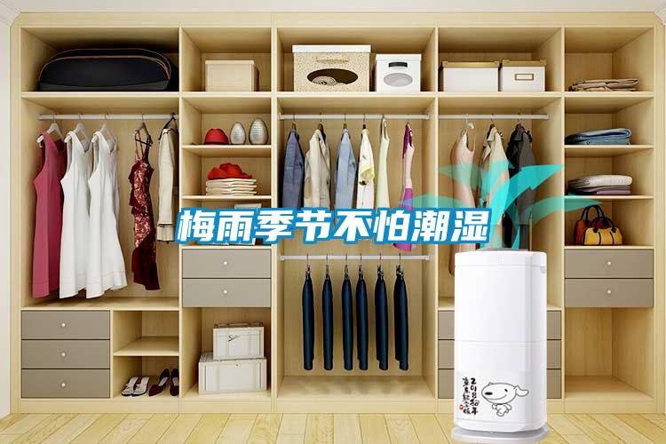 梅雨季節不怕潮濕