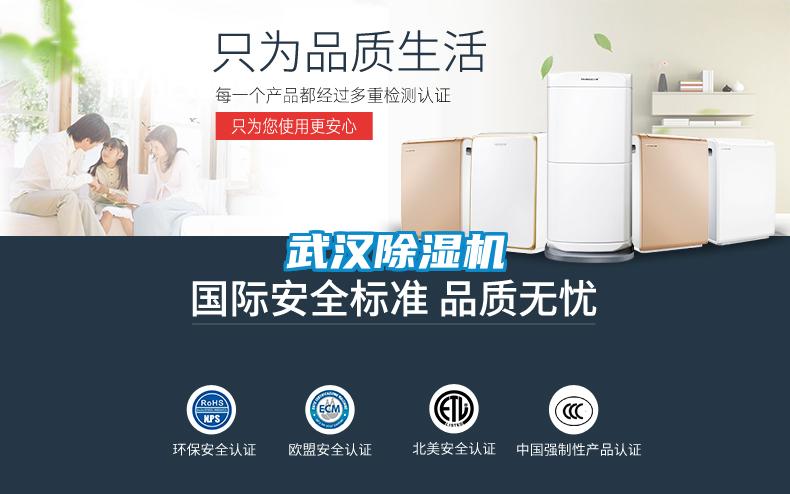 武漢除濕機