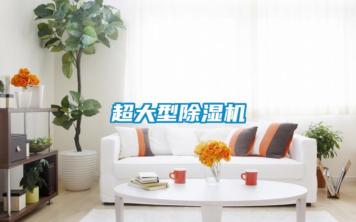 超大型除濕機