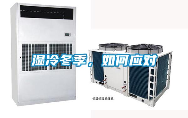 濕冷冬季，如何應對