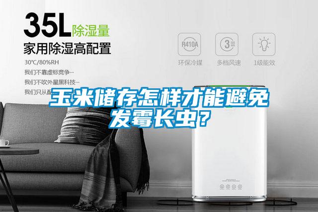 玉米儲存怎樣才能避免發霉長蟲?