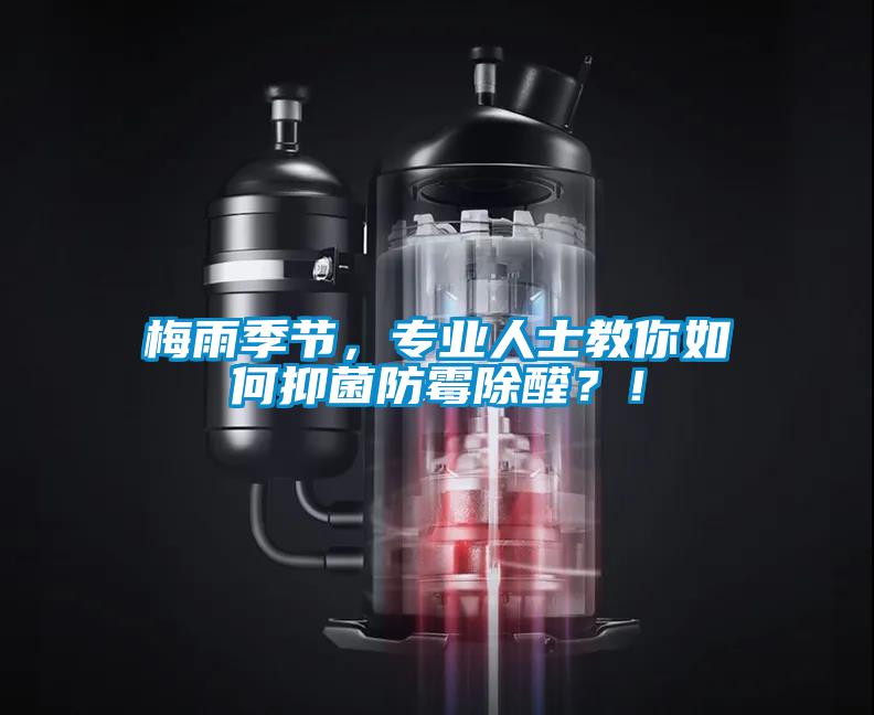 梅雨季節，專業人士教你如何抑菌防霉除醛？！