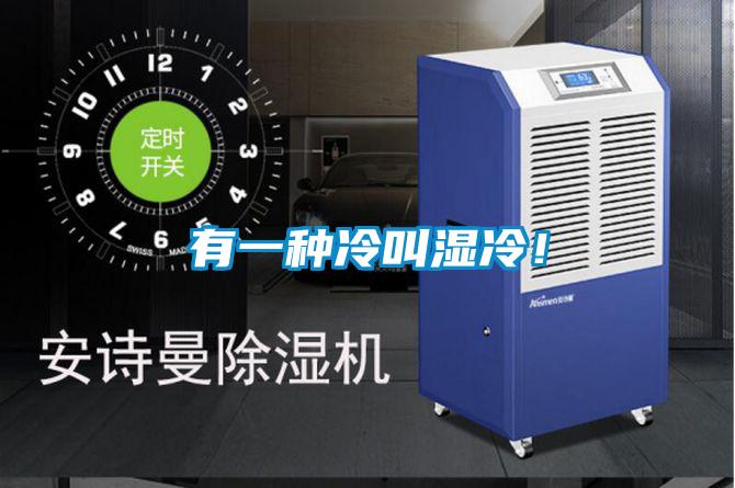 有一種冷叫濕冷！