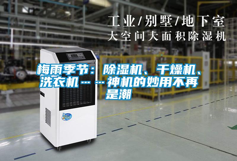 梅雨季節:除濕機、干燥機、洗衣機……神機的妙用不再是潮