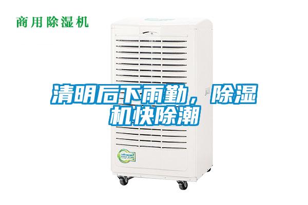 清明后下雨勤，除濕機快除潮