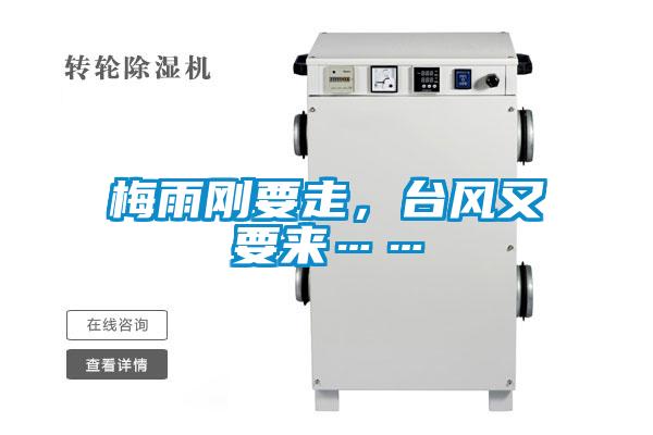 梅雨剛要走,臺風(fēng)又要來……