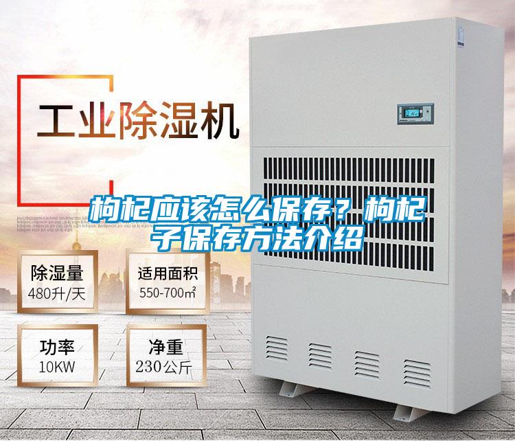 枸杞應(yīng)該怎么保存？枸杞子保存方法介紹