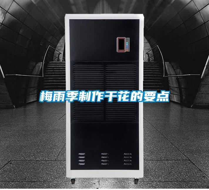梅雨季制作干花的要點