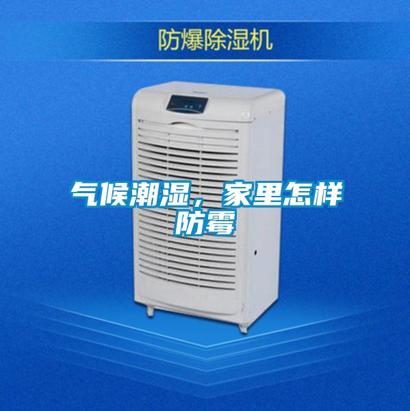 氣候潮濕,家里怎樣防霉