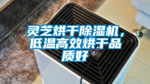 靈芝烘干除濕機(jī)，低溫高效烘干品質(zhì)好