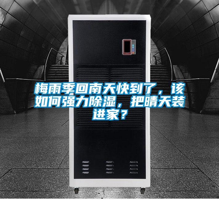 梅雨季回南天快到了，該如何強力除濕，把晴天裝進家？