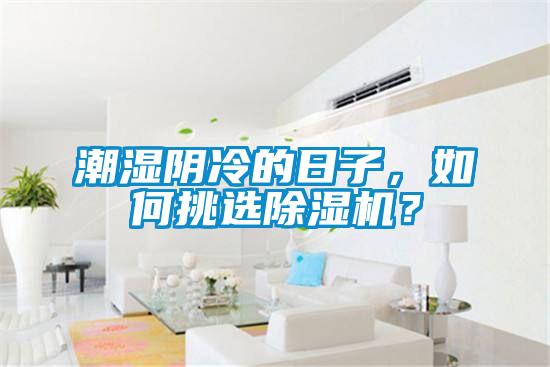 潮濕陰冷的日子，如何挑選除濕機？