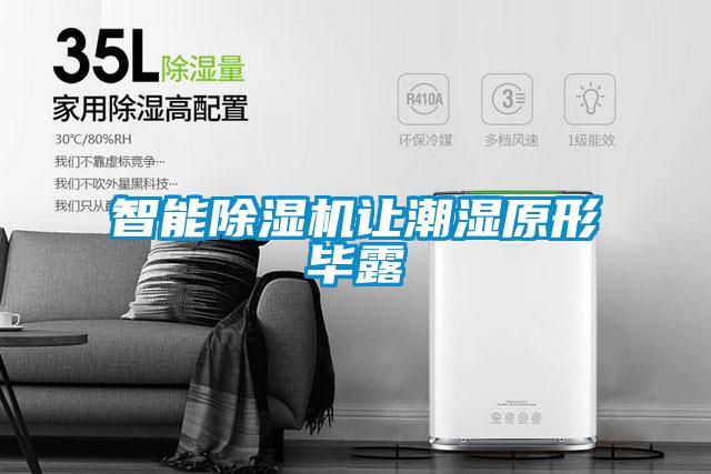 智能除濕機(jī)讓潮濕原形畢露