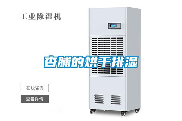 杏脯的烘干排濕