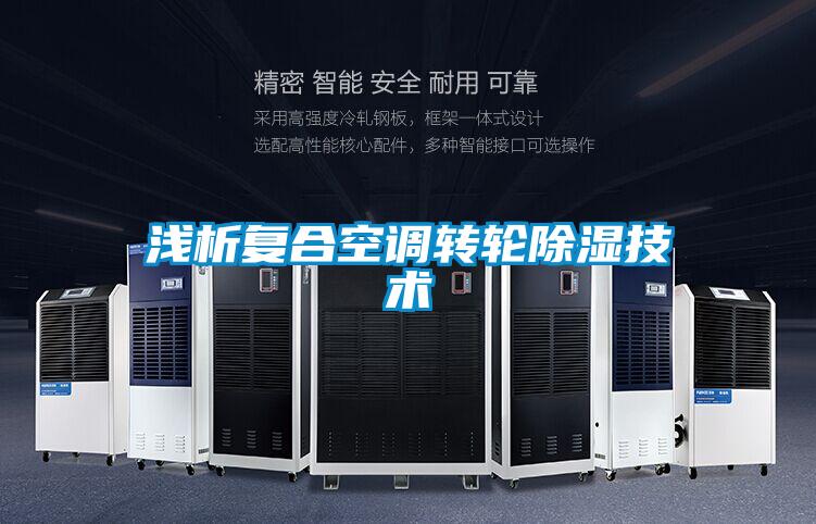 淺析復合空調轉輪除濕技術
