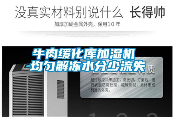牛肉緩化庫加濕機 均勻解凍水分少流失