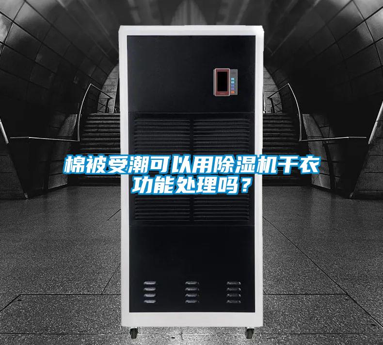 棉被受潮可以用除濕機干衣功能處理嗎？